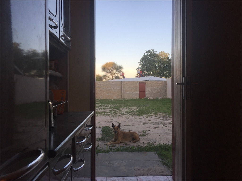 f:id:TPVC28-Namibia:20160126043500j:image f:id:TPVC28-Namibia:20160126043500j:image