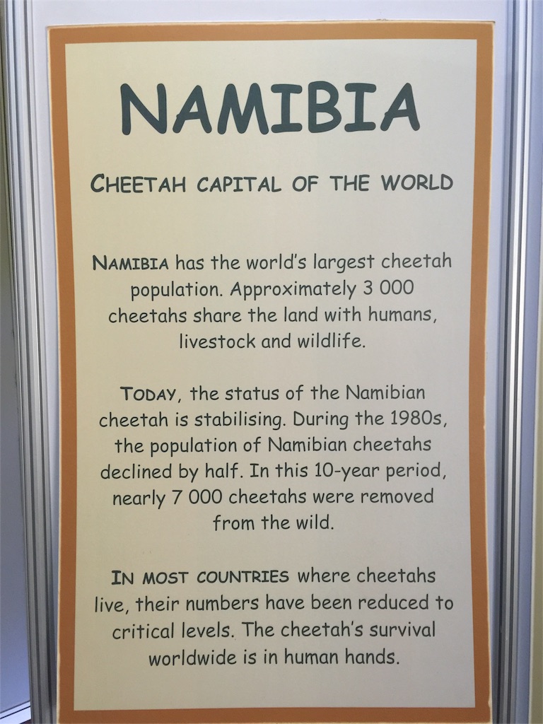 f:id:TPVC28-Namibia:20160307012634j:image f:id:TPVC28-Namibia:20160307012634j:image