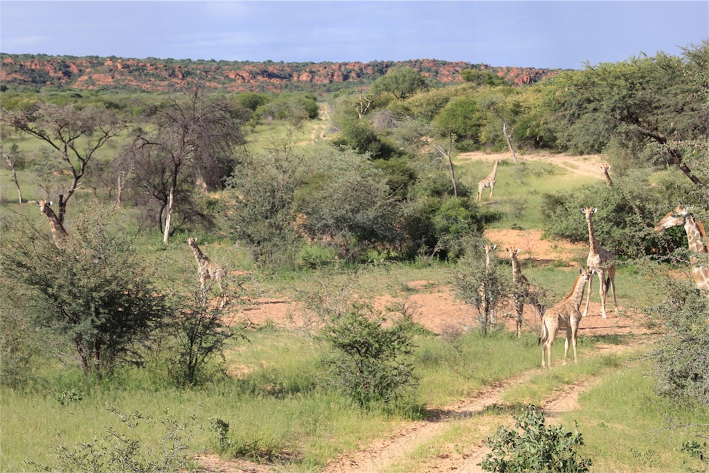 f:id:TPVC28-Namibia:20160307020154j:image f:id:TPVC28-Namibia:20160307020154j:image