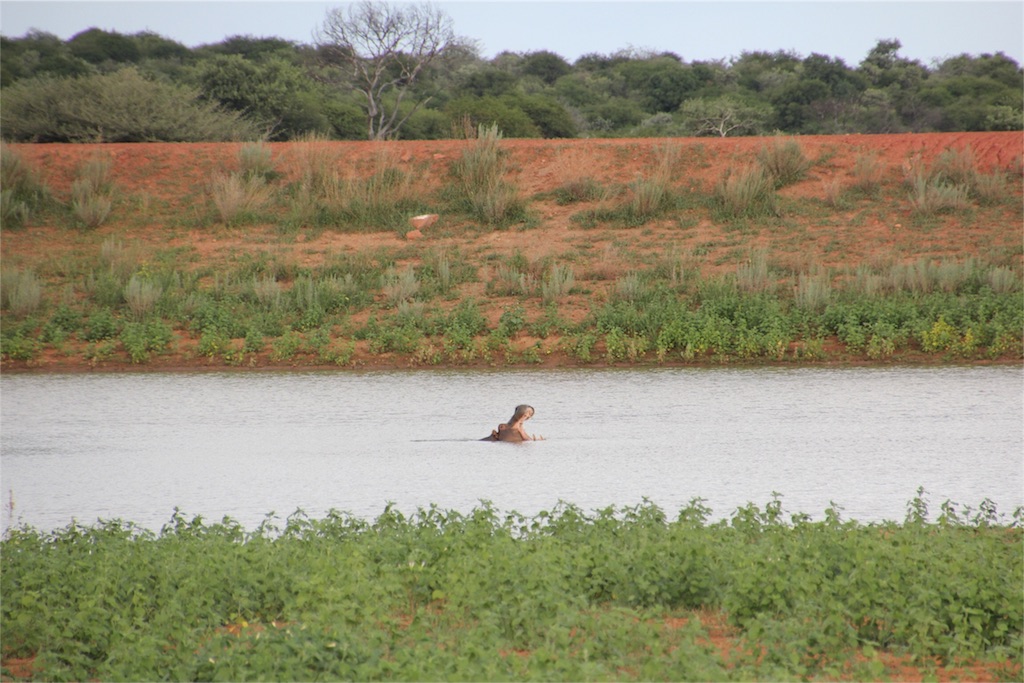 f:id:TPVC28-Namibia:20160307020450j:image