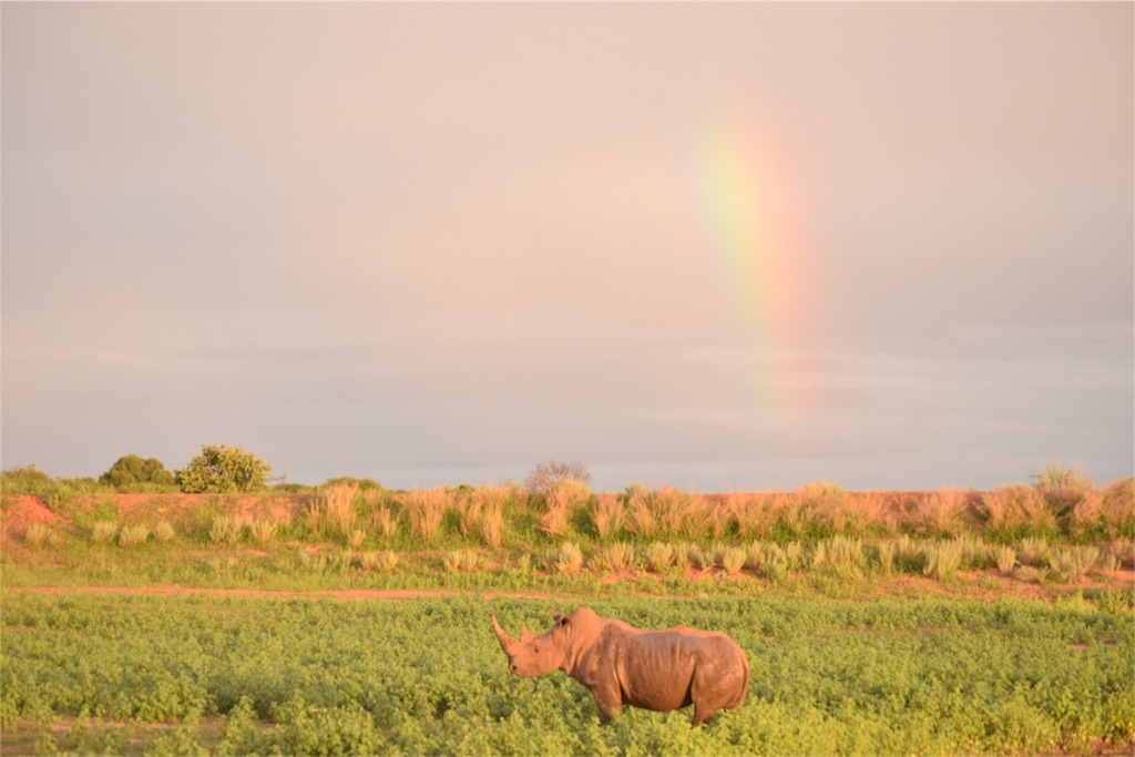 f:id:TPVC28-Namibia:20160307021007j:image