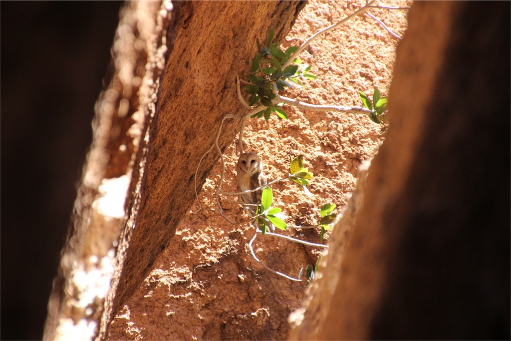 f:id:TPVC28-Namibia:20160327142025j:image f:id:TPVC28-Namibia:20160327142025j:image
