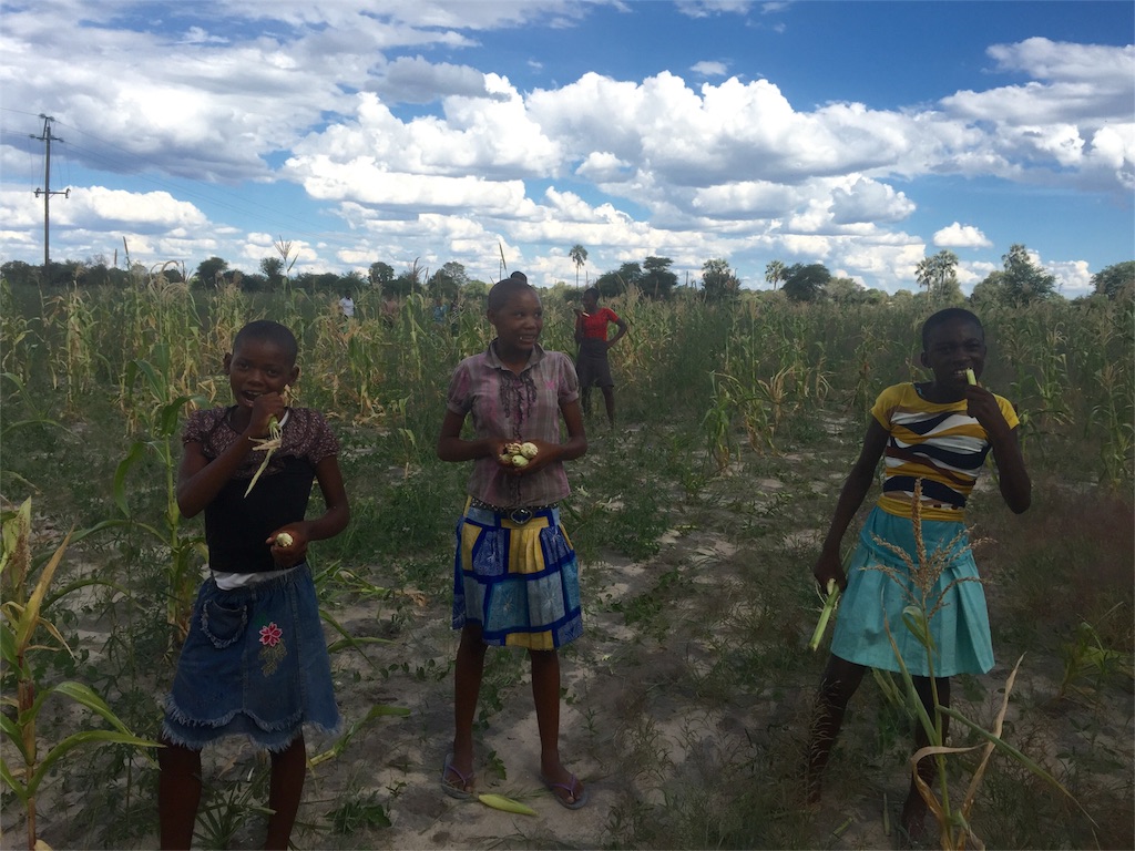 f:id:TPVC28-Namibia:20160420034710j:image f:id:TPVC28-Namibia:20160420034710j:image