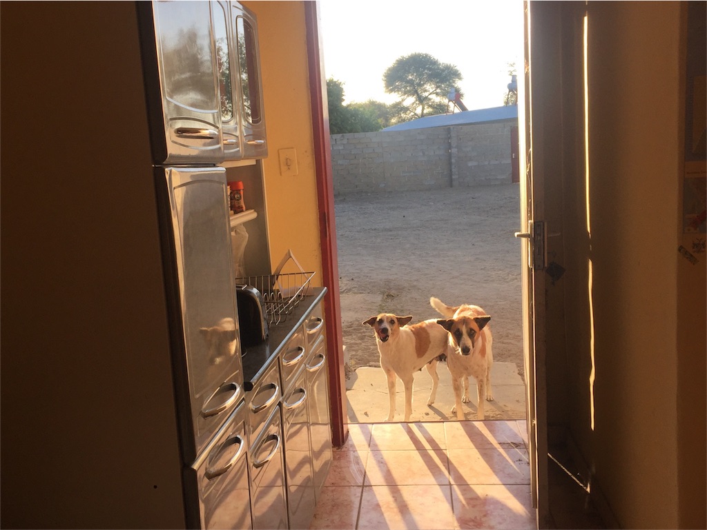 f:id:TPVC28-Namibia:20160528053422j:image f:id:TPVC28-Namibia:20160528053422j:image