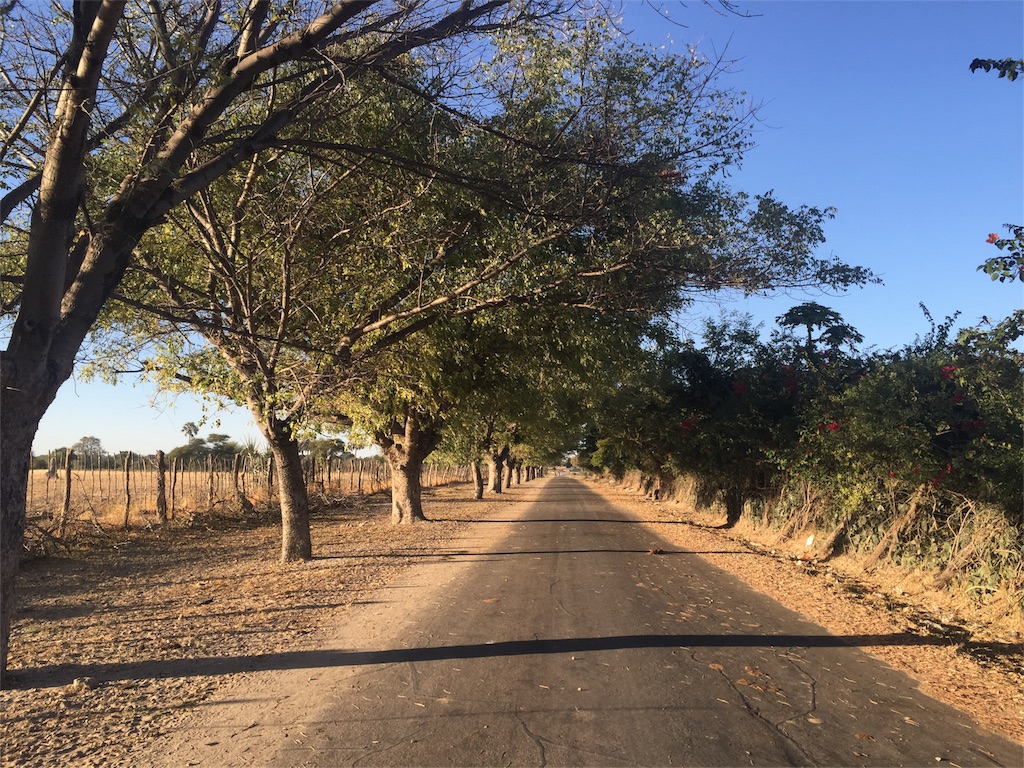 f:id:TPVC28-Namibia:20160528054356j:image f:id:TPVC28-Namibia:20160528054356j:image