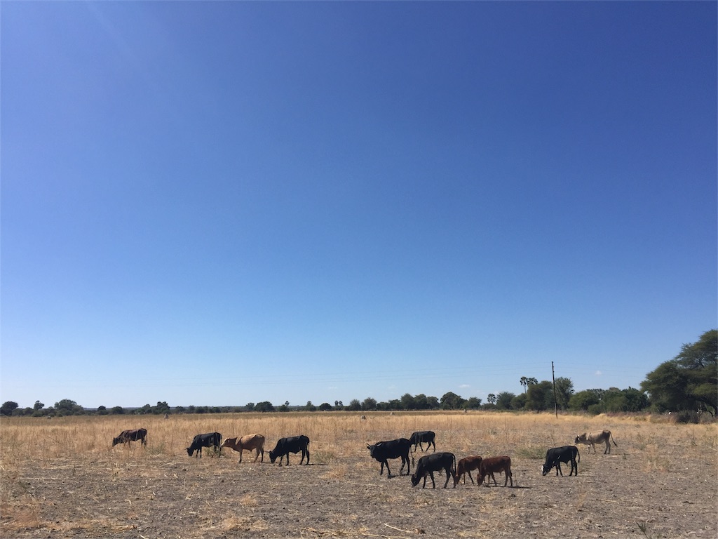 f:id:TPVC28-Namibia:20160528061439j:image f:id:TPVC28-Namibia:20160528061439j:image