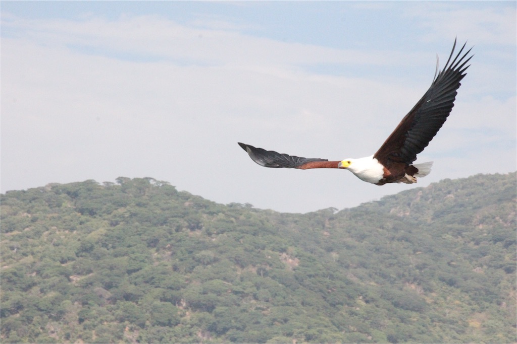 f:id:TPVC28-Namibia:20160612211612j:image f:id:TPVC28-Namibia:20160612211612j:image
