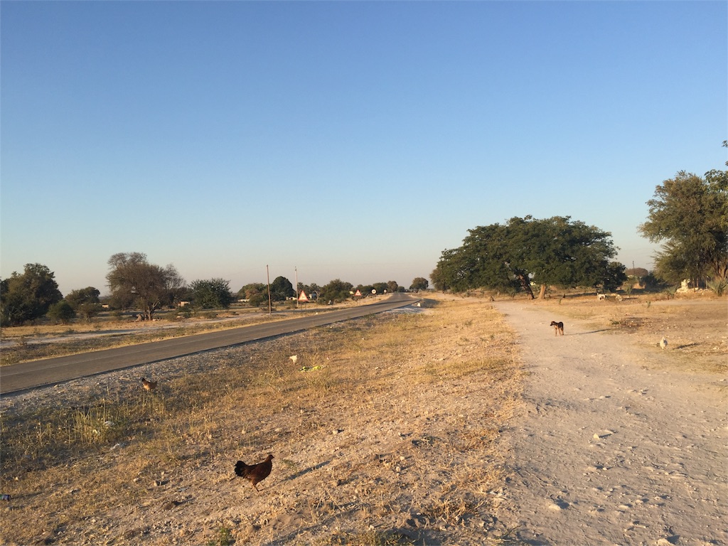 f:id:TPVC28-Namibia:20160614222158j:image f:id:TPVC28-Namibia:20160614222158j:image