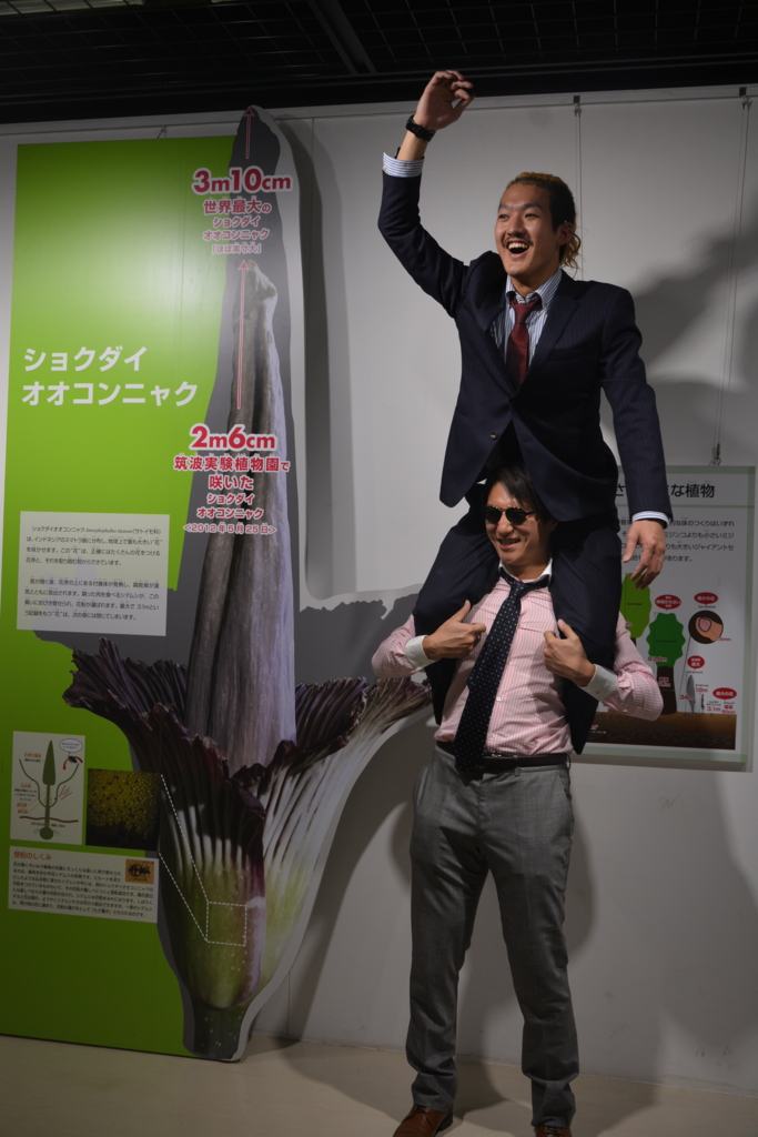 f:id:TSUKUBAtaishis:20151119182313j:plain f:id:TSUKUBAtaishis:20151119182313j:plain