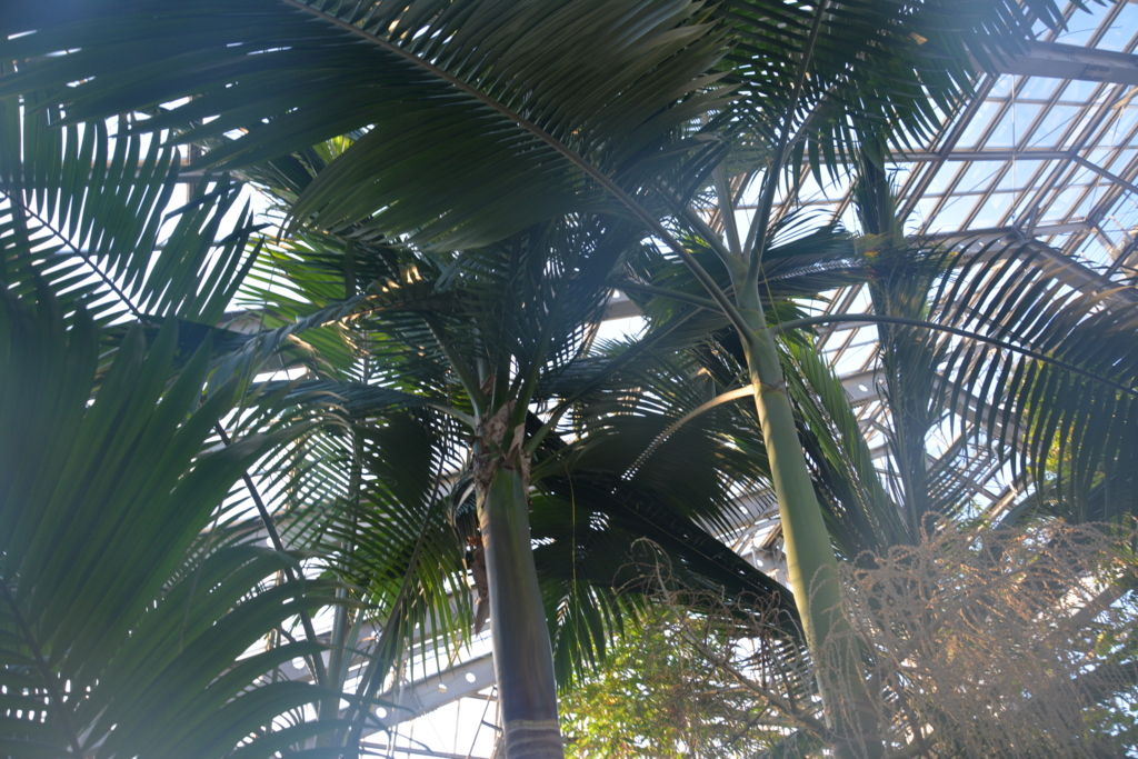 f:id:TSUKUBAtaishis:20151119183556j:plain f:id:TSUKUBAtaishis:20151119183556j:plain