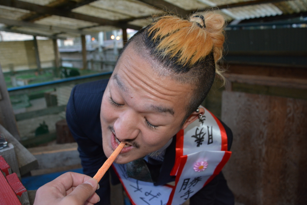 f:id:TSUKUBAtaishis:20151208164832j:plain f:id:TSUKUBAtaishis:20151208164832j:plain
