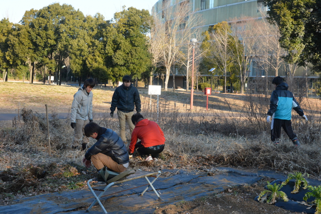 f:id:TSUKUBAtaishis:20160222094540j:plain f:id:TSUKUBAtaishis:20160222094540j:plain