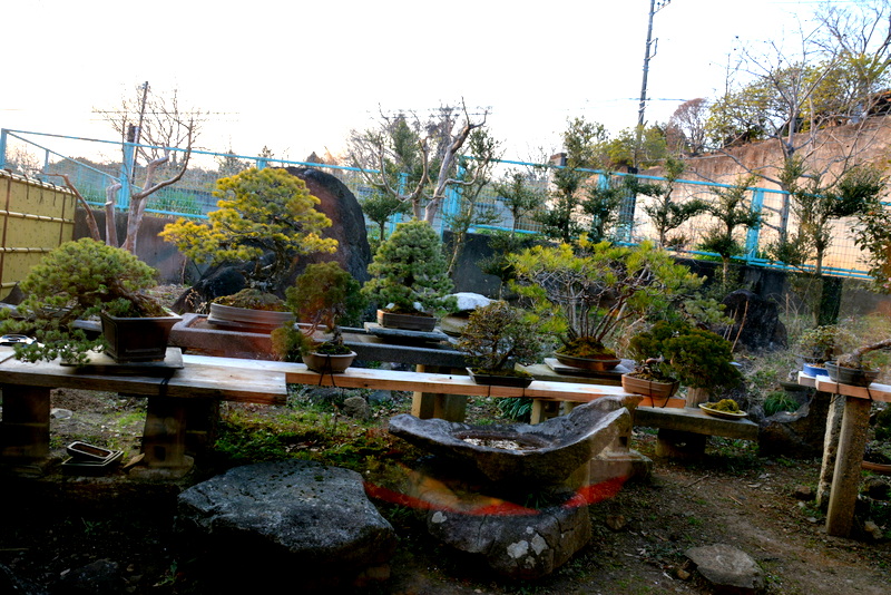 f:id:TSUKUBAtaishis:20160303234743j:plain f:id:TSUKUBAtaishis:20160303234743j:plain