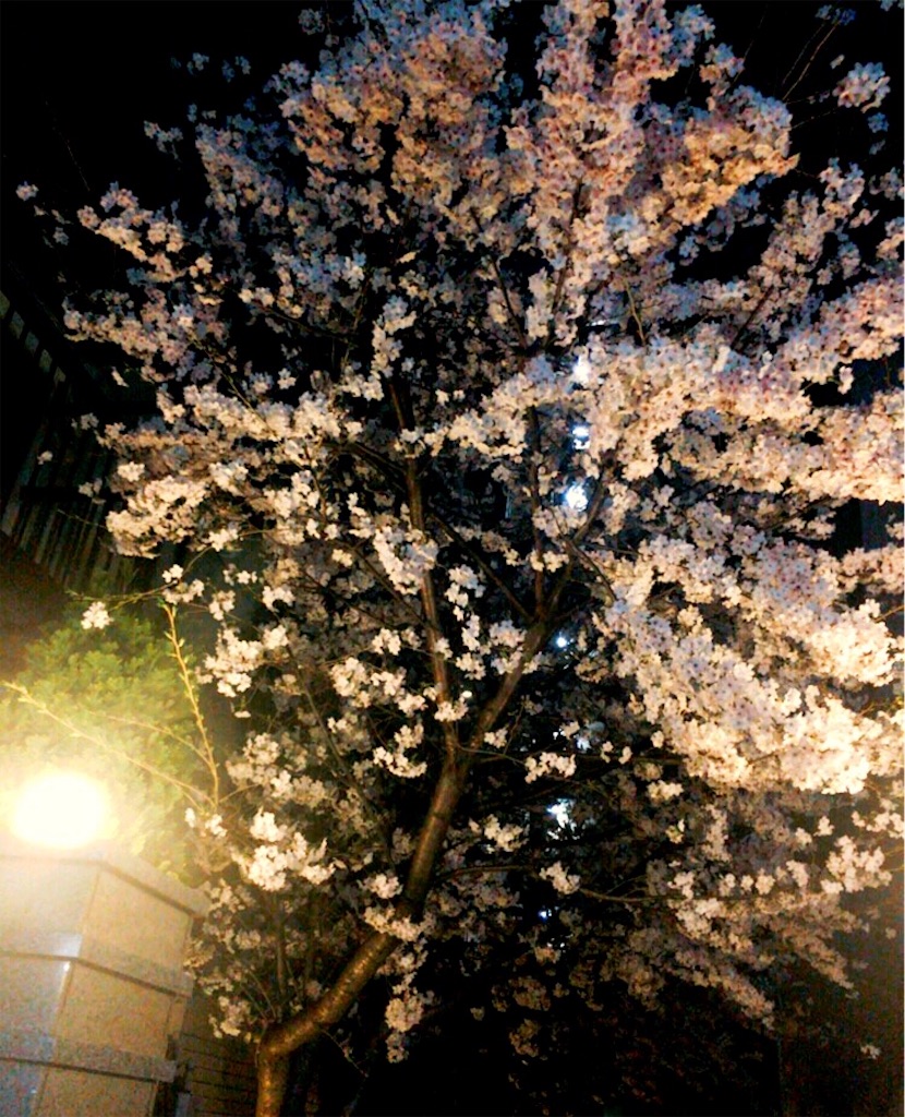 f:id:Tabennet:20160403002647j:image f:id:Tabennet:20160403002647j:image