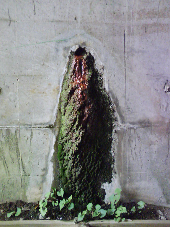 f:id:TakedaHiroyoshi:20100418144417j:image