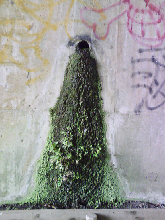 f:id:TakedaHiroyoshi:20100418144434j:image