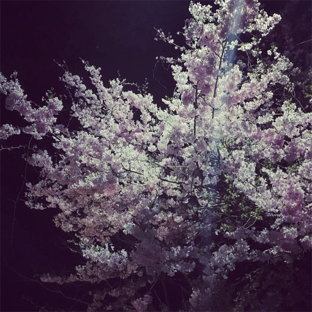 f:id:TeamMSC:20160417165547j:image f:id:TeamMSC:20160417165547j:image