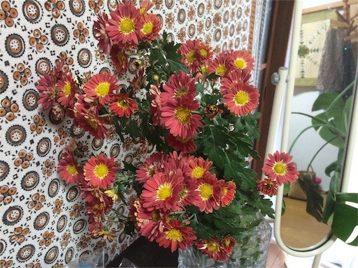 f:id:Teresa:20151123202540j:image f:id:Teresa:20151123202540j:image