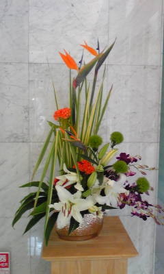 f:id:Tetsuro:20090807180331j:image