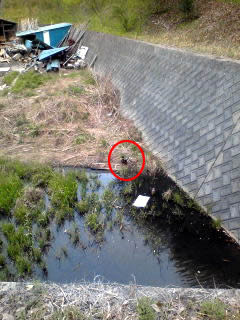f:id:Tetsuro:20100405152242j:image