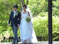 f:id:Tetsuro:20100420074624j:image