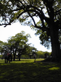 f:id:Tetsuro:20100504180907j:image