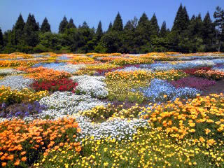 f:id:Tetsuro:20100605183919j:image