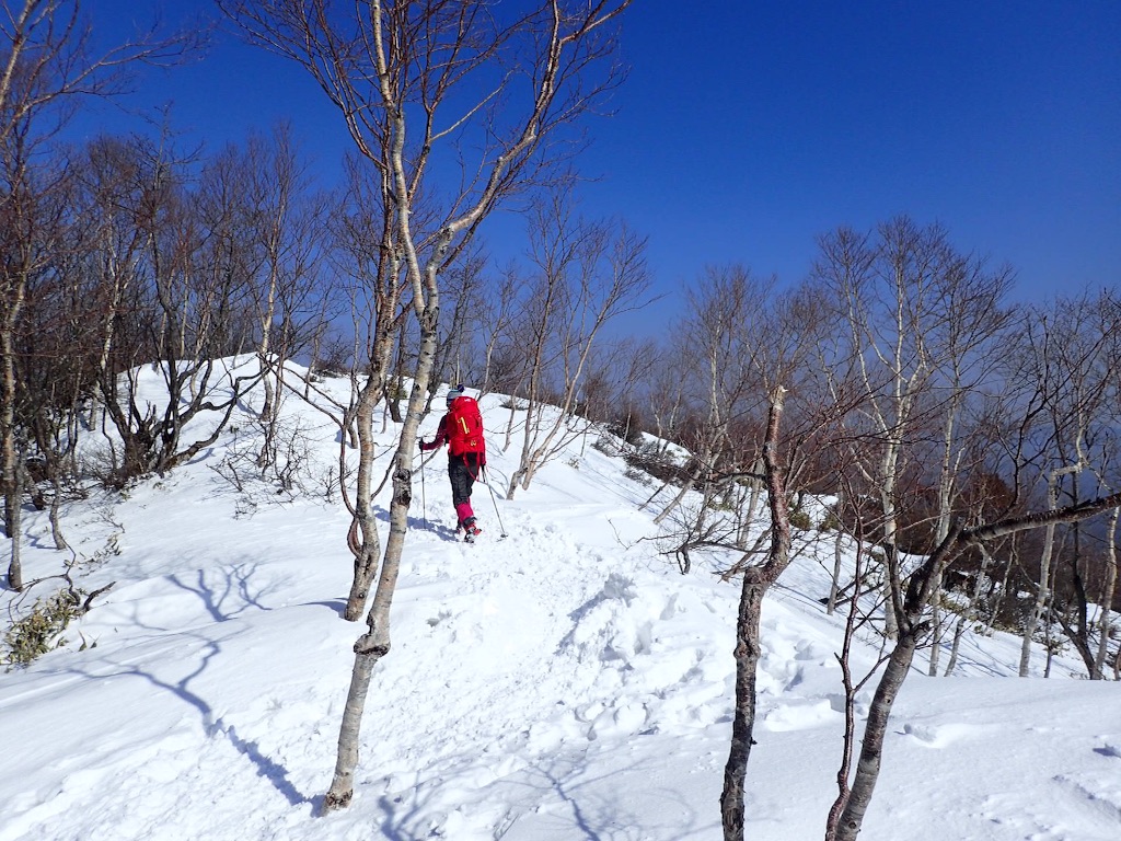 f:id:Tetsuta:20160229092657j:image f:id:Tetsuta:20160229092657j:image