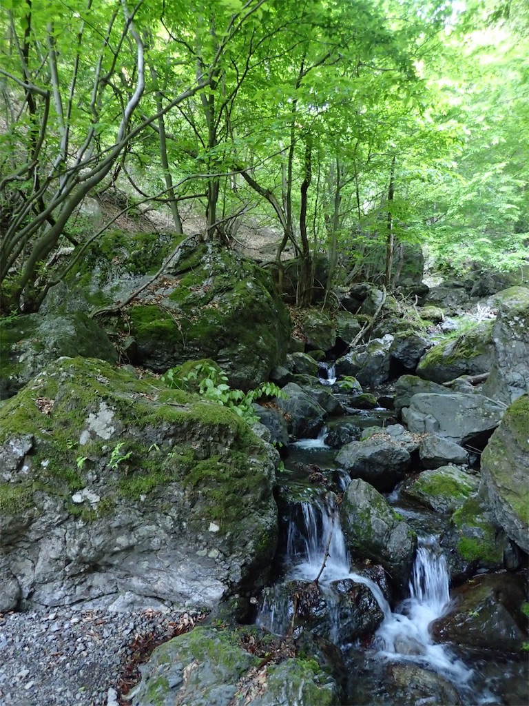 f:id:Tetsuta:20160506101247j:image f:id:Tetsuta:20160506101247j:image