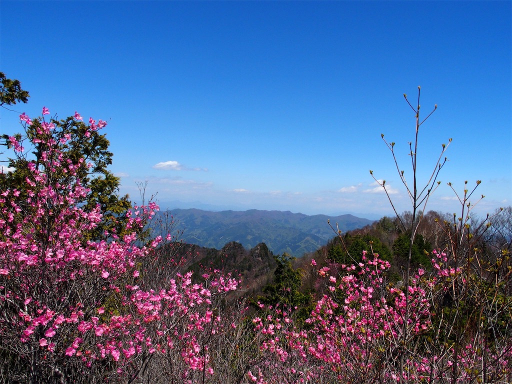 f:id:Tetsuta:20160506101938j:image f:id:Tetsuta:20160506101938j:image