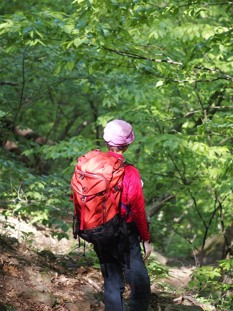 f:id:Tetsuta:20160506103157j:image f:id:Tetsuta:20160506103157j:image