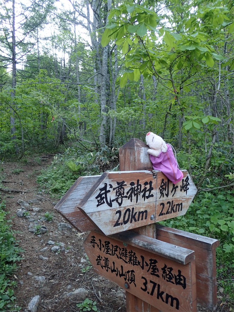 f:id:Tetsuta:20160523103632j:image f:id:Tetsuta:20160523103632j:image