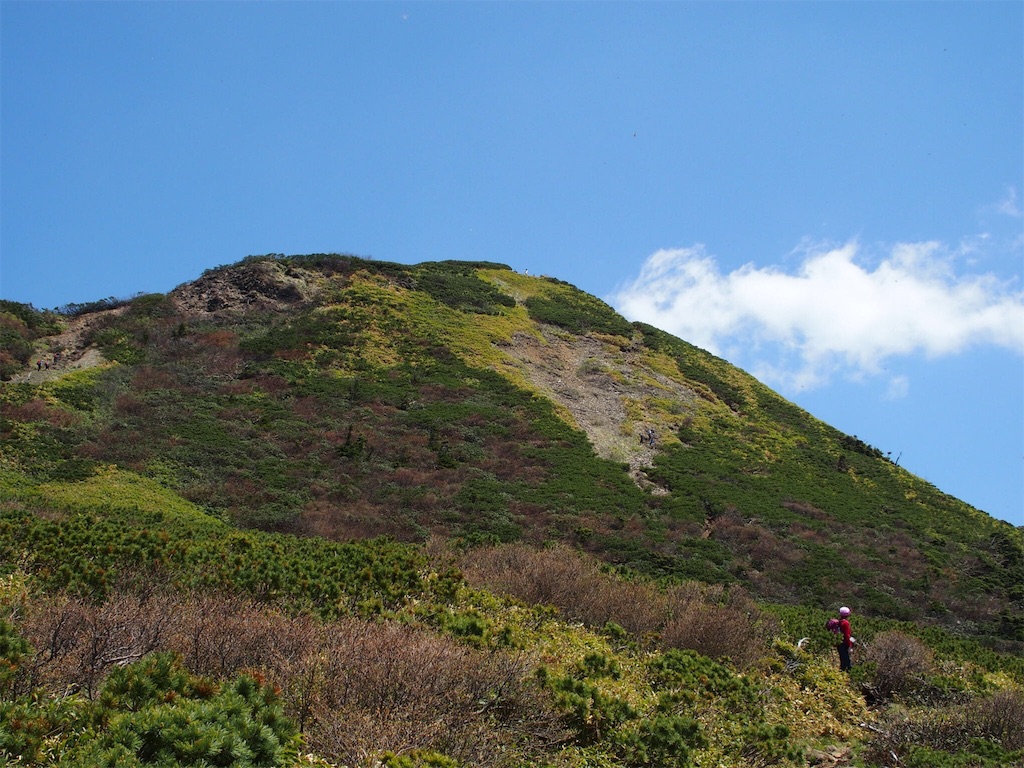 f:id:Tetsuta:20160523104911j:image f:id:Tetsuta:20160523104911j:image
