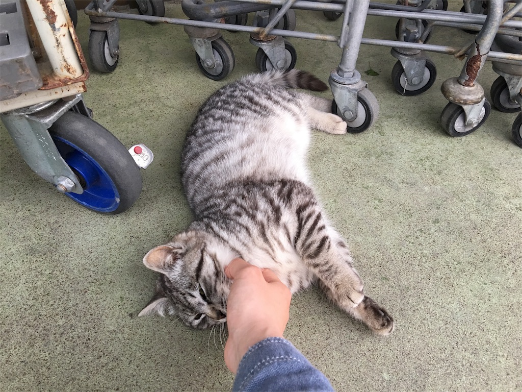 f:id:Tetsuya-kun:20160506184550j:image f:id:Tetsuya-kun:20160506184550j:image