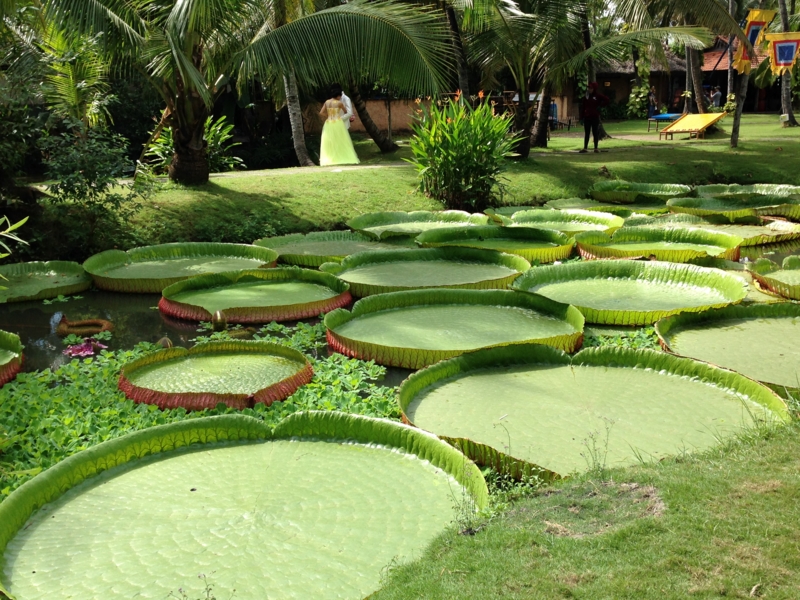 f:id:Travel:20141225125228j:plain f:id:Travel:20141225125228j:plain