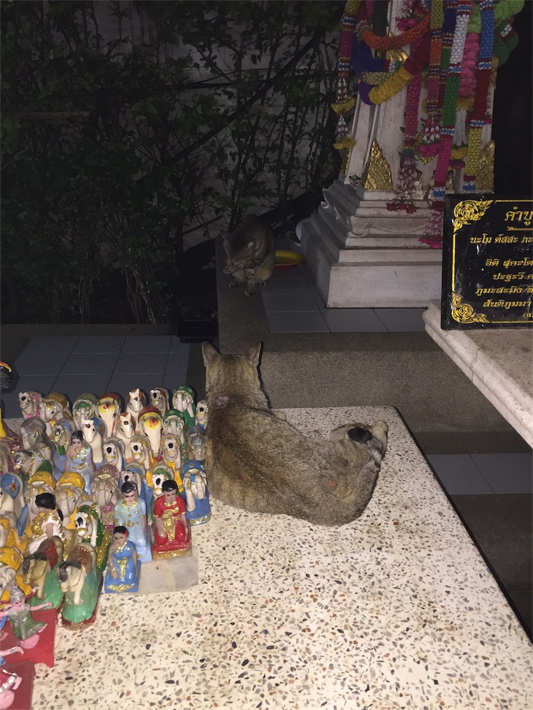 f:id:Trickster225:20151111225258j:image f:id:Trickster225:20151111225258j:image