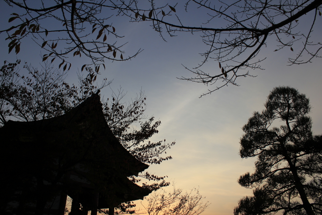 f:id:Tsuchinokovski:20151004130739j:plain f:id:Tsuchinokovski:20151004130739j:plain
