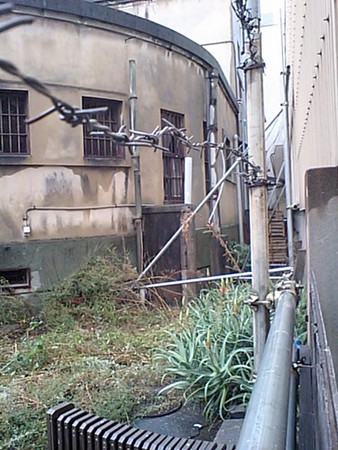 f:id:Tsumura:20061126163532j:image f:id:Tsumura:20061126163532j:image