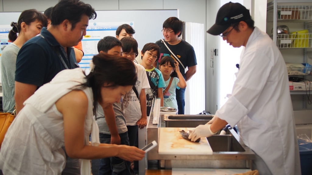 f:id:UMILABO:20150719103308j:plain f:id:UMILABO:20150719103308j:plain