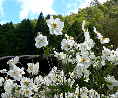 f:id:URURUNDO:20151007235843j:plain