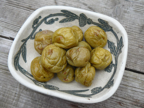 f:id:URURUNDO:20151010234104j:plain