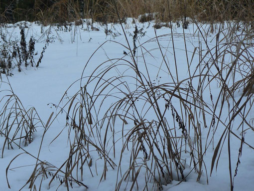 f:id:URURUNDO:20160124234305j:plain