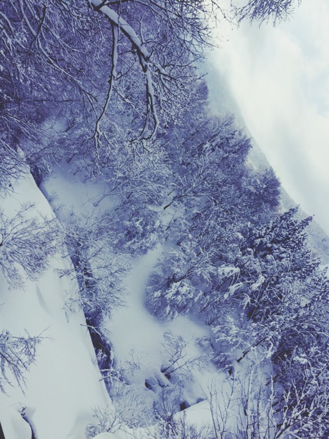 f:id:WARPchange:20150318174153j:plain f:id:WARPchange:20150318174153j:plain