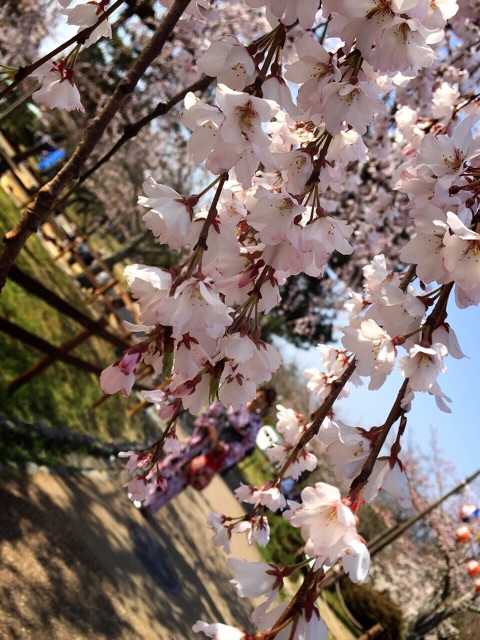 f:id:WARPchange:20150417160308j:plain f:id:WARPchange:20150417160308j:plain