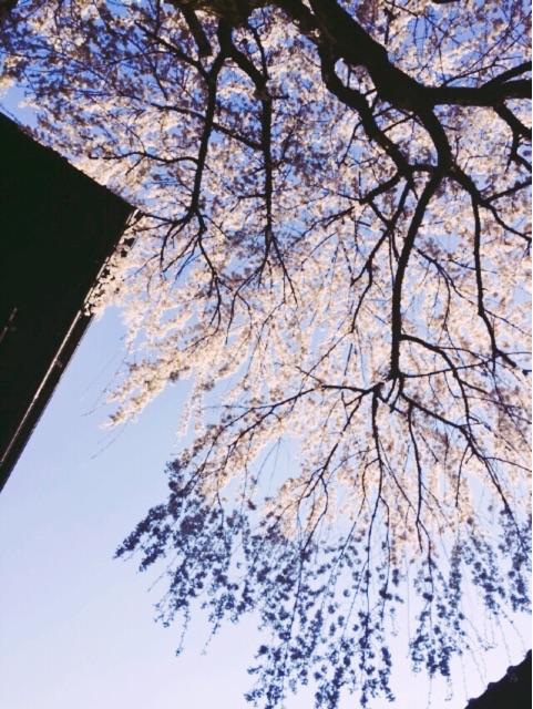 f:id:WARPchange:20150417160555j:plain f:id:WARPchange:20150417160555j:plain