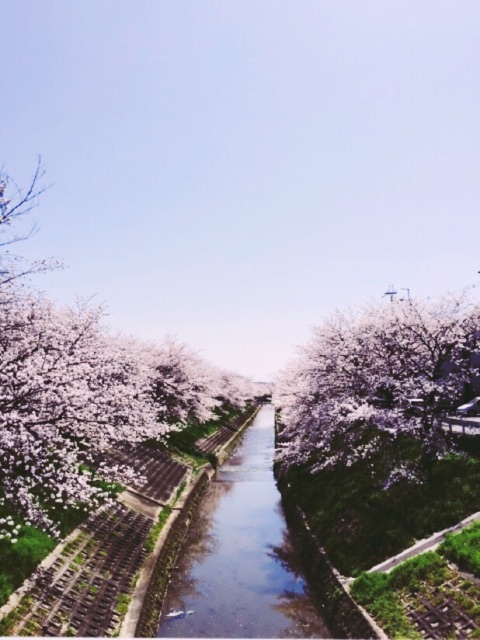 f:id:WARPchange:20150417160745j:plain f:id:WARPchange:20150417160745j:plain