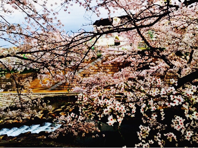 f:id:WARPchange:20150417160833j:plain f:id:WARPchange:20150417160833j:plain