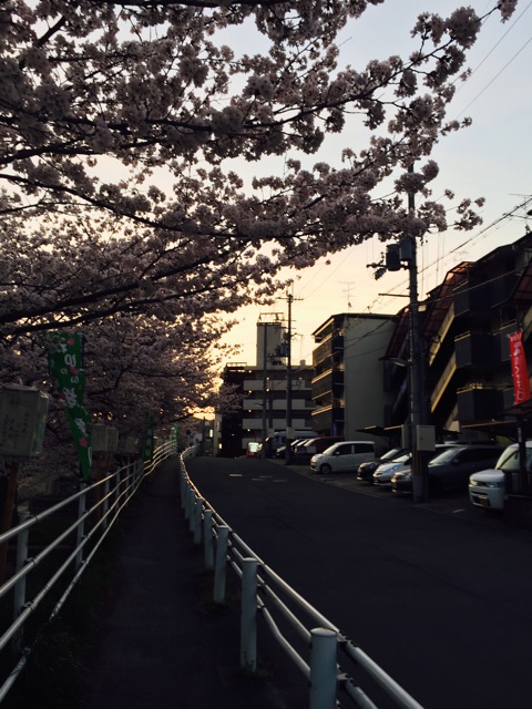 f:id:WARPchange:20150417160859j:plain f:id:WARPchange:20150417160859j:plain