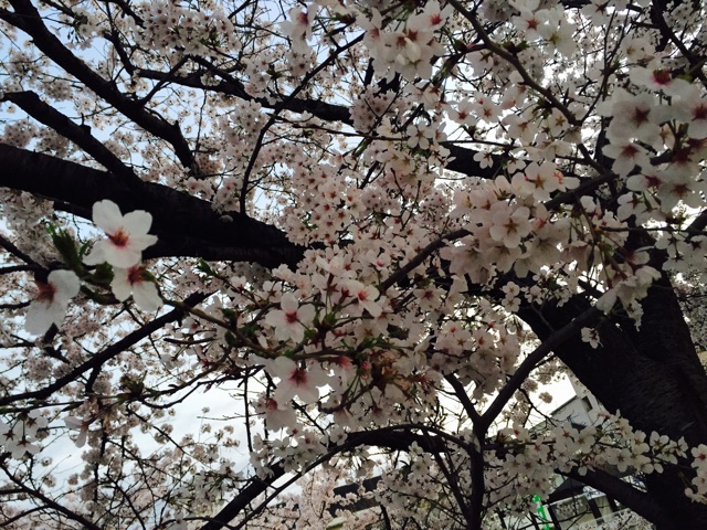 f:id:WARPchange:20150417160945j:plain f:id:WARPchange:20150417160945j:plain
