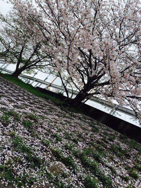 f:id:WARPchange:20150417161208j:plain f:id:WARPchange:20150417161208j:plain